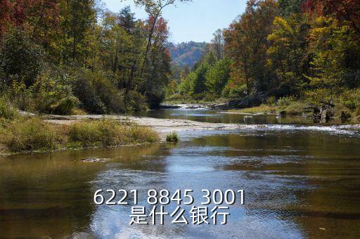 1807是什么銀行的，6217998700001600868是什么銀行的