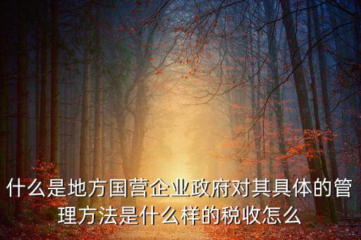 什么是地方國企，什么是地方國營企業(yè)政府對其具體的管理方法是什么樣的稅收怎么