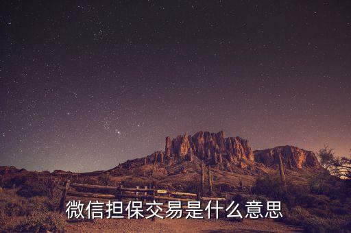 信用擔寶交易是什么意思，什么是支付寶擔交易