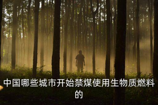 國(guó)家什么時(shí)候開(kāi)始禁煤，國(guó)家規(guī)定明年不讓燒煤了嗎