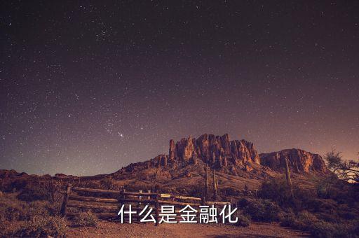 什么叫金融化，什么是金融證券化