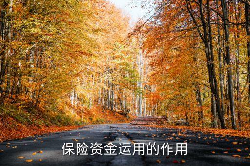 保險資金運用余額什么意思，保險每年的資金運用余額具體是什么