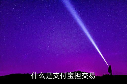 什么是支付寶擔(dān)交易