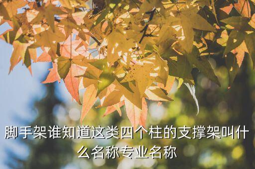 河北四個(gè)支撐是什么，河北有什么支柱產(chǎn)業(yè)