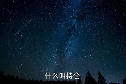 什么叫持倉(cāng)