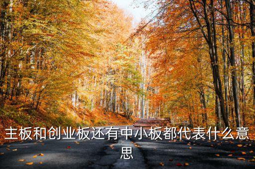 滬市主板是什么意思，什么是主板中小板和創(chuàng)業(yè)板它們都是干什么的請用白話簡短精