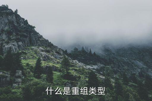 什么是重組類型，什么是重組類型