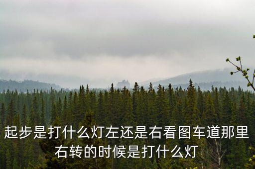 駕駛打右燈和左燈什么意思啊，起步是打什么燈左還是右看圖車道那里右轉(zhuǎn)的時(shí)候是打什么燈