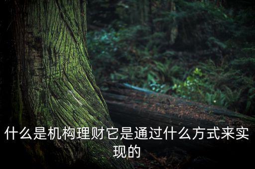 什么是機構(gòu)理財，什么是第三方的理財機構(gòu)