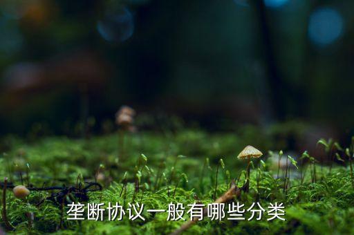 什么是縱向壟斷協(xié)議，壟斷協(xié)議一般有哪些分類