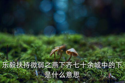 什么是進(jìn)口替代戰(zhàn)略，樂毅扶持微弱之燕下齊七十余城中的下是什么意思