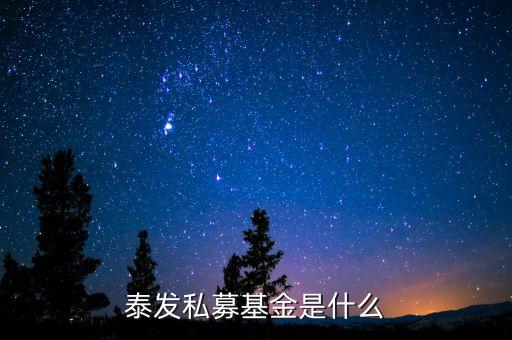 000263基金是什么基金，國金金騰通貨幣c是一種什么基金