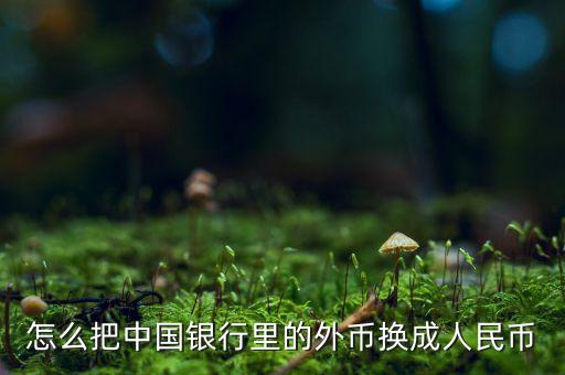 怎么把中國(guó)銀行里的外幣換成人民幣