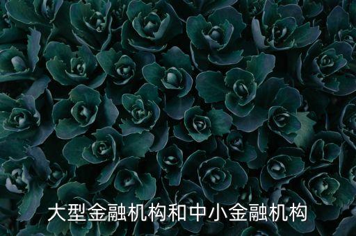 什么是中小金融機構，大型金融機構和中小金融機構
