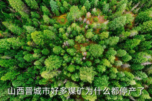 為什么礦山現(xiàn)在停產(chǎn)，為什么現(xiàn)在的礦業(yè)幾乎全部停產(chǎn)