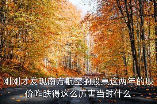 南航美股是什么意識，海南航空股票前帶lr300什么意思