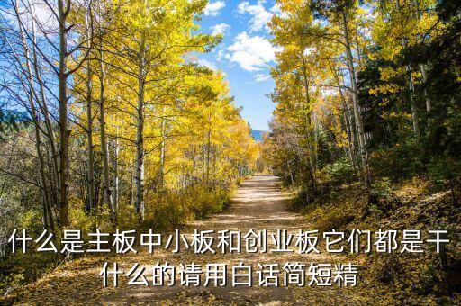 什么是主板中小板和創(chuàng)業(yè)板它們都是干什么的請(qǐng)用白話(huà)簡(jiǎn)短精