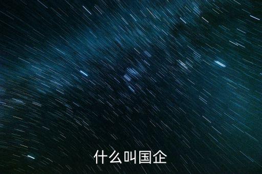 什么叫國企