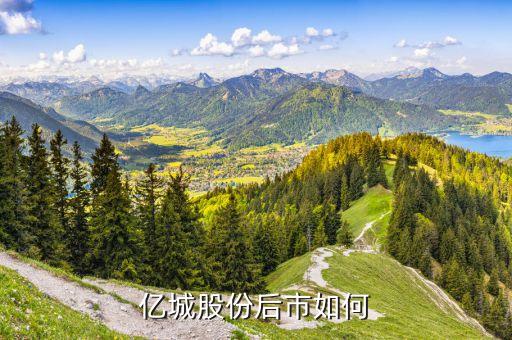 億城投資為什么停盤，000616億城股份能買嗎 他的k線說明什么 怎么前天的 單獨(dú)出去一根