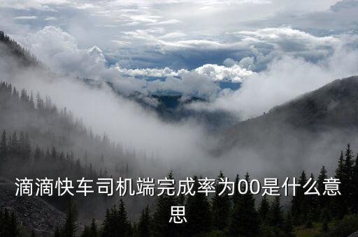 滴滴快車完成率是什么意思，滴滴快車成交率百分之零啥意思