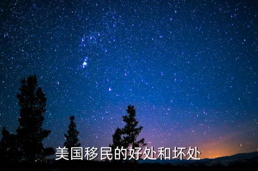 去美國移民的最大感受是什么，美國移民的好處和壞處