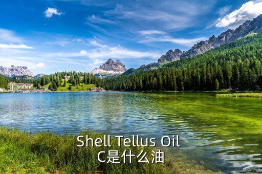 權(quán)益油是什么，Shell Tellus Oil C是什么油