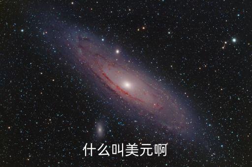 什么是美元，什么是美元