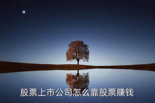 上市公司靠什么賺錢，經常說上市公司把股票上市之后獲得盈利請問是怎么盈利的