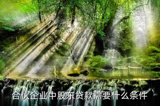 合伙企業(yè)中股東貸款需要什么條件