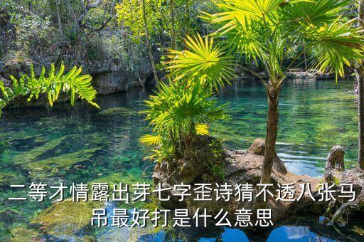 玄機組合為勢參是什么意思，道者有道參玄機 輕風吹拂羊毛利 打一生肖 說名理由