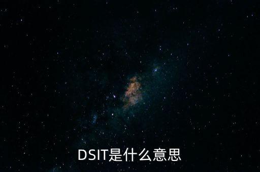 DSIT是什么意思