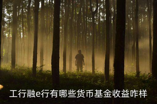 工行網(wǎng)銀有什么貨幣基金，工行融e行有哪些貨幣基金收益咋樣