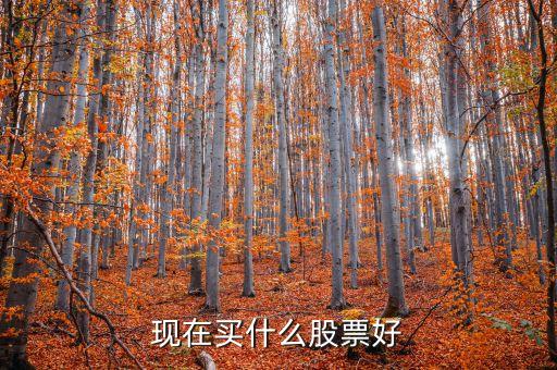 買什么股票，買什么股票最好