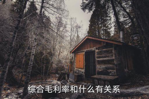 什么是綜合毛利，綜合毛利率和什么有關(guān)系