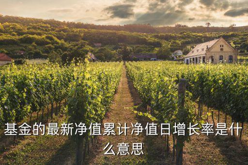 基金的最新凈值累計凈值日增長率是什么意思