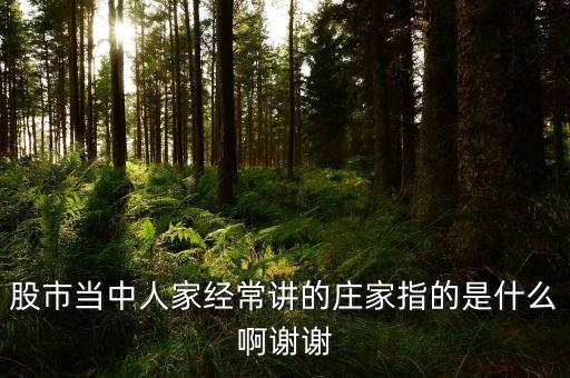 股市當(dāng)中人家經(jīng)常講的莊家指的是什么啊謝謝