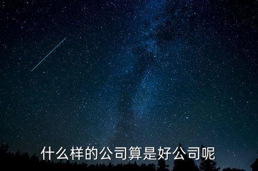 什么樣的公司是比較好的，有什么樣的公司是比較好的