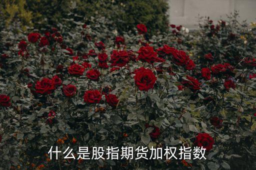 什么是股指期貨加權指數