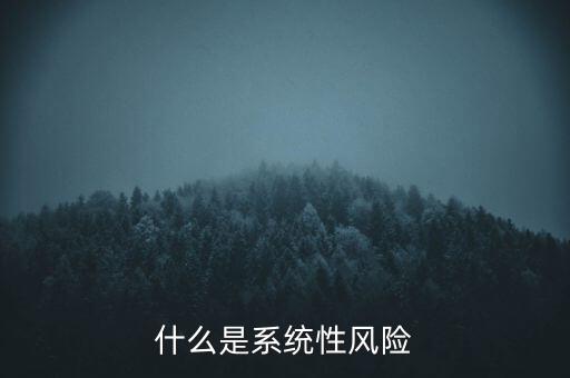 什么是系統(tǒng)性區(qū)域性風(fēng)險(xiǎn)，什么是系統(tǒng)性風(fēng)險(xiǎn)與區(qū)域性風(fēng)險(xiǎn)