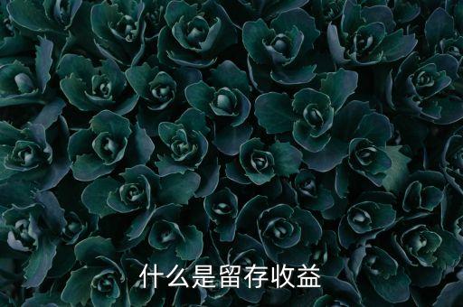 什么是留存收益