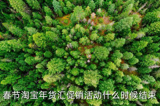 春節(jié)淘寶年貨匯促銷活動什么時候結(jié)束