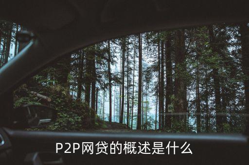 P2P網(wǎng)貸的概述是什么
