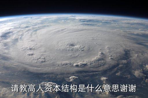 請教高人資本結(jié)構(gòu)是什么意思謝謝