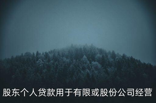 股東個(gè)人貸款用于有限或股份公司經(jīng)營(yíng)