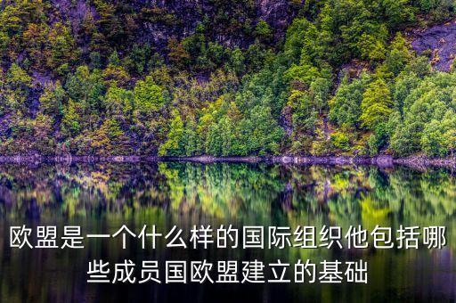歐盟是一個什么樣的組織，歐盟是一個什么性質(zhì)的組織