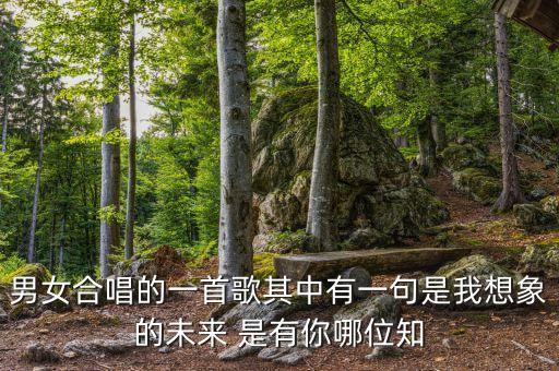 男女合唱的一首歌其中有一句是我想象的未來 是有你哪位知