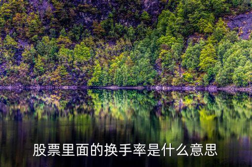 股票里面的換手率是什么意思