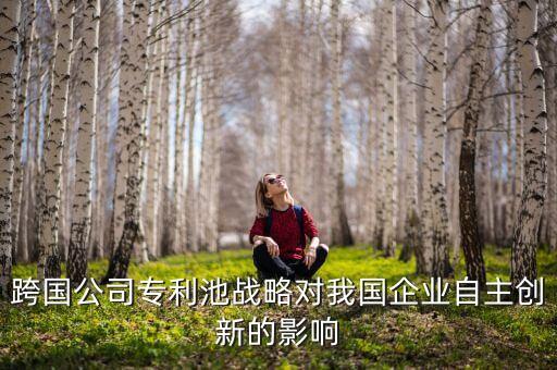北京君正是什么公司，跨國公司專利池戰(zhàn)略對我國企業(yè)自主創(chuàng)新的影響