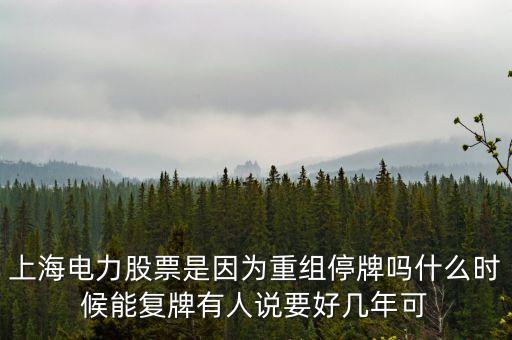 上海電氣什么時間復牌，上海電力股票是因為重組停牌嗎什么時候能復牌有人說要好幾年可