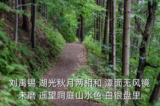 君山股份是做什么，劉禹錫 湖光秋月兩相和 潭面無風鏡未磨 遙望洞庭山水色 白銀盤里